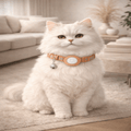 Velvetail Softcub Reflective Cat Collar With Airtag Holder And Bell