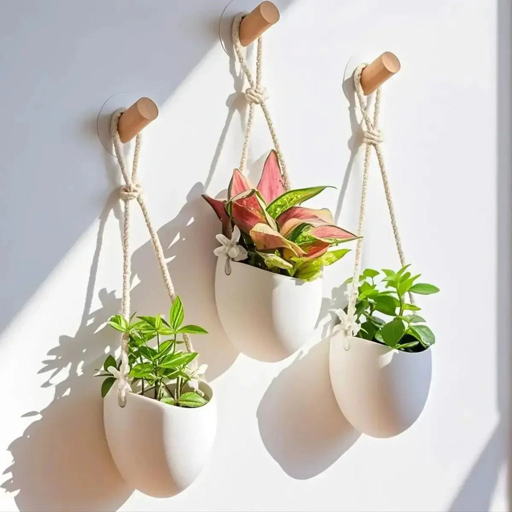 WALLORA Compact Green Wall Planter For Modern Decor