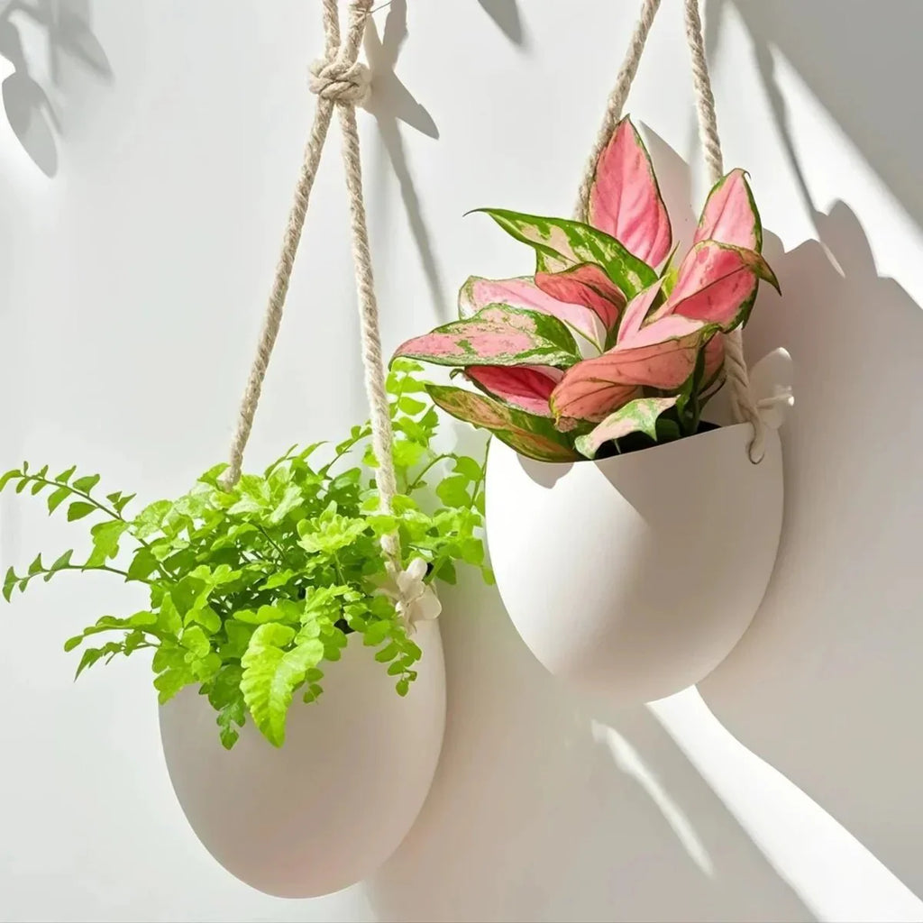 WALLORA Compact Green Wall Planter For Modern Decor