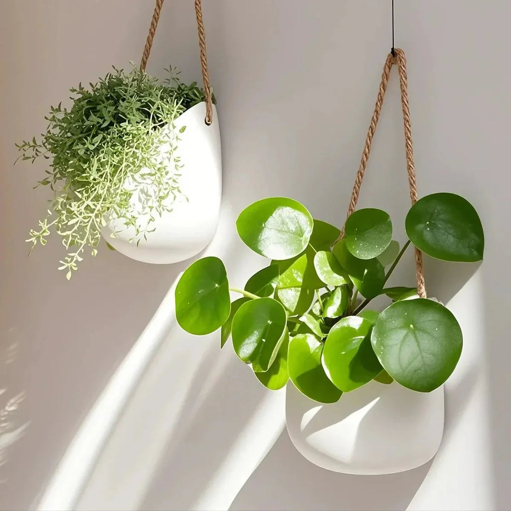 WALLORA Compact Green Wall Planter For Modern Decor