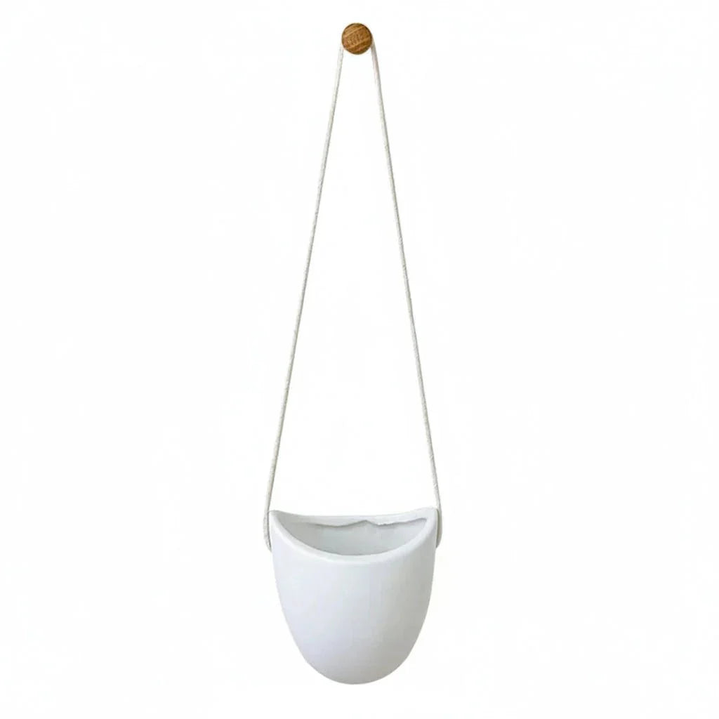 WALLORA Compact Green Wall Planter For Modern Decor