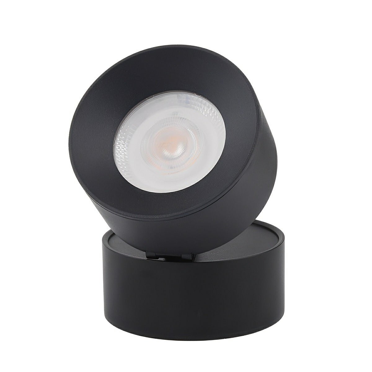 Aluminum Outdoor LED Wall Spotlight, Black, 360 Degree Rotatable, IP65, Surface Mounted