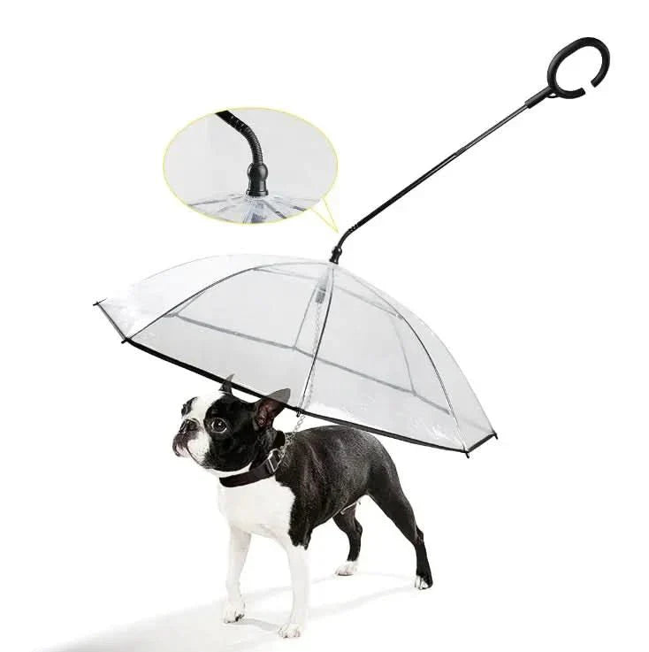 AquaGuard Transparenter Hundeschirm als Regenschutz für Hunde