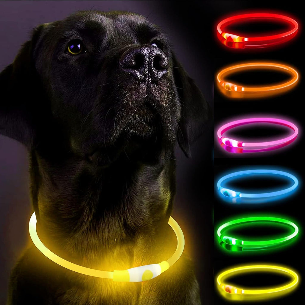 Rechargeable Lighted Dog Collar For Nighttime Walking And Safety