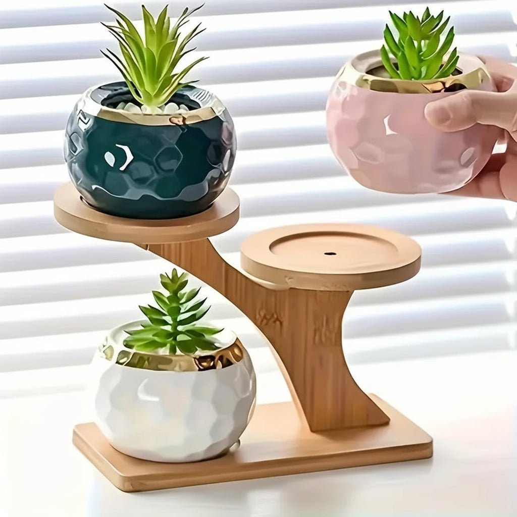 ZENRACK Compact Bamboo Shelf With Two Levels For Home And Office