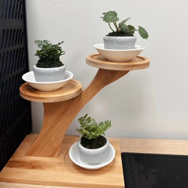 ZENRACK Compact Bamboo Shelf With Two Levels For Home And Office